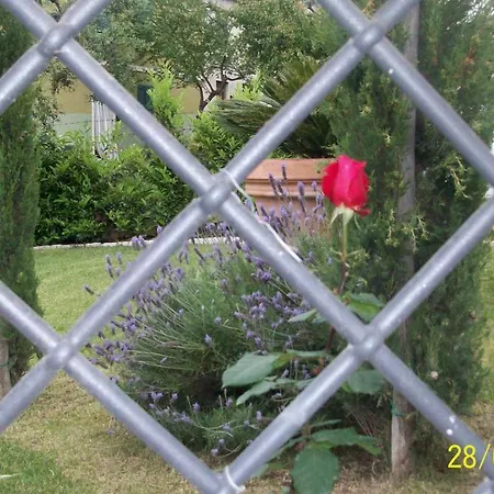 Il Giardino Degli Ulivi Canneto (Lazio)