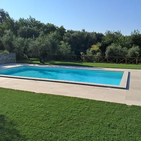 Il Giardino Degli Ulivi *