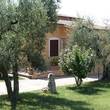 Il Giardino Degli Ulivi Canneto (Lazio)