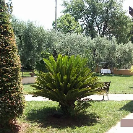 Bed & Breakfast Il Giardino Degli Ulivi